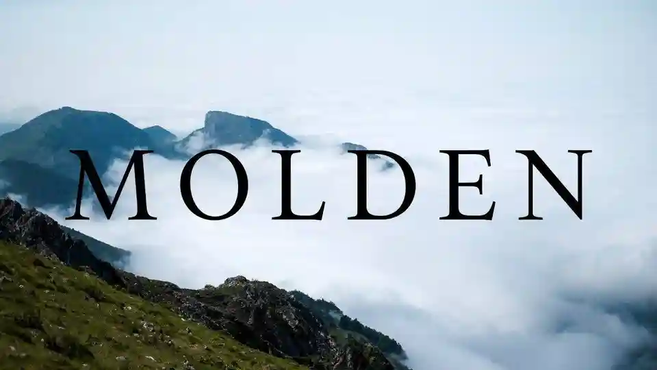 Ølyp lansează al doilea single de pe viitorul album intitulat „Molden”