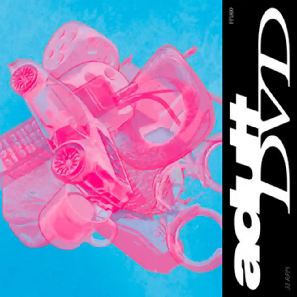 Debutul discografic al trupei Adult DVD