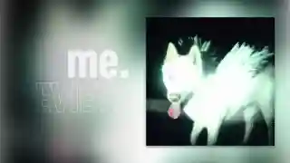 Fat Dog lansează cel de-al doilea album, CANCEL ME (I’M TIRED)