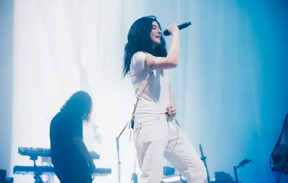 Lorde îl vizează pe Robert Kraft cu o jachetă cu mesajul „Free Palestine”