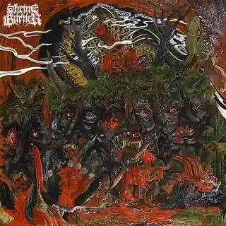 Shrineburner lansează albumul de debut Hymns of Despair