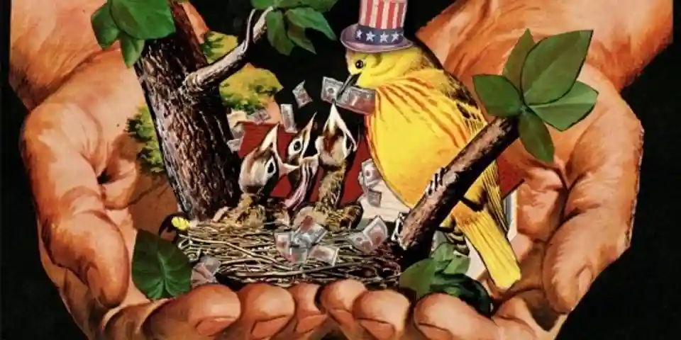 Trupa Pure Heel a lansat albumul de debut Freedom From You