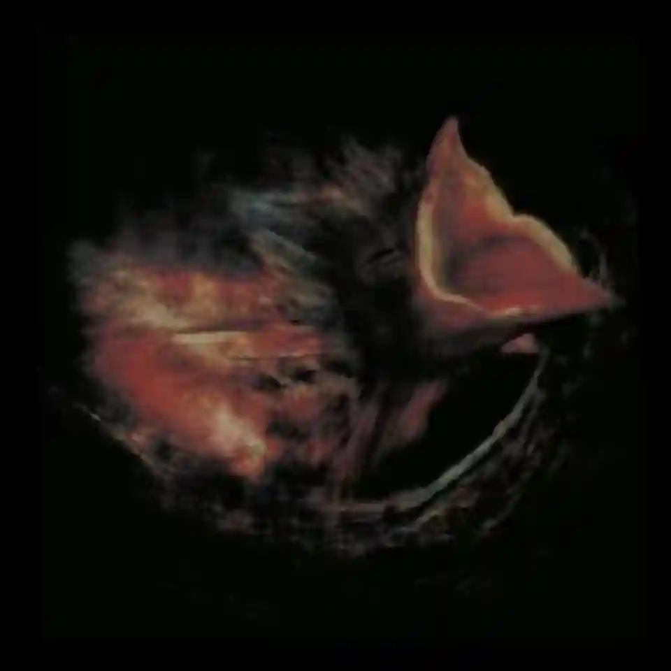 Gurriers lansează albumul „Nobody’s Coming To Save You”