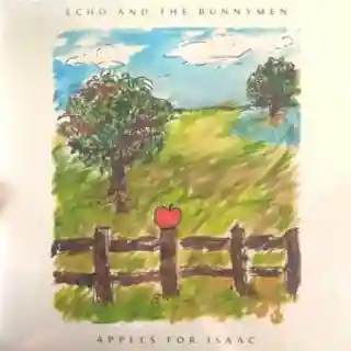 Echo & The Bunnymen lansează albumul „Apples For Isaac”