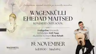 Rivo Rehe susține un concert acustic în Wagenküll pe 19 noiembrie 2026
