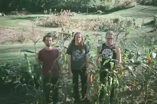 Trupa Whippets lansează single-ul „Dream Of One”