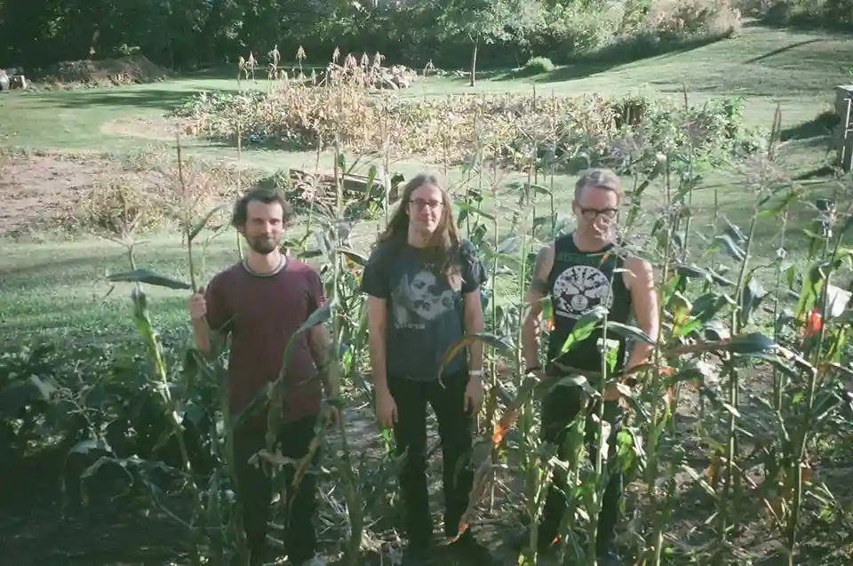 Trupa Whippets lansează single-ul „Dream Of One”