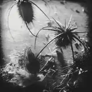 L’eveil a lansat albumul de debut intitulat „Wars Of Abstraction”