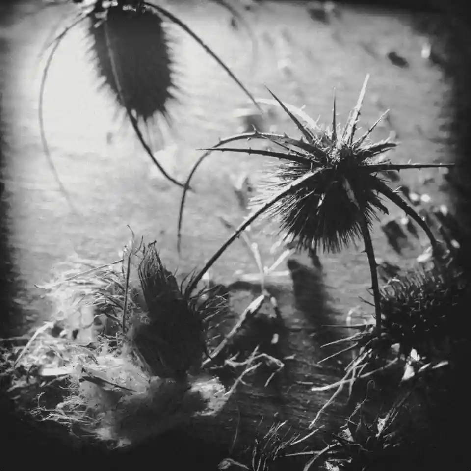 L’eveil a lansat albumul de debut intitulat „Wars Of Abstraction”