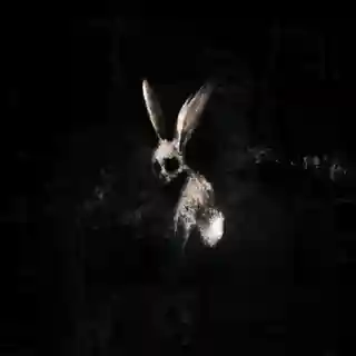 GHØSTKID lansează albumul „FOLLOW THE WHITE RABBIT”