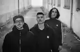 Chicle - León