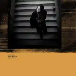 Recenzia albumului „Framtiden som aldrig blev av” semnat de Joakim Berg