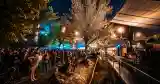 Festivalul SIMULTAN - Timișoara