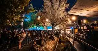 Festivalul SIMULTAN 2026: Recomandări de locuri alternative în Timișoara